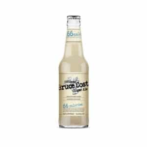 Bruce Cost Ginger Ale – 66 Calories